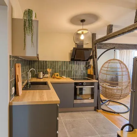 Apartment Appartement Le Verdoyant Hyper Centre Avec Parking Et Sauna *