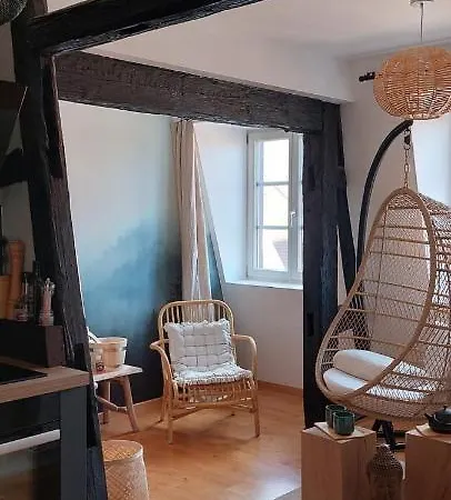 Le Verdoyant Hyper Centre Avec Parking Et Sauna Appartement *