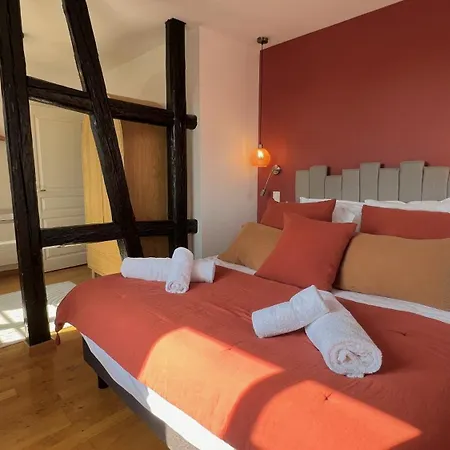 Le Verdoyant Hyper Centre Avec Parking Et Sauna * Colmar