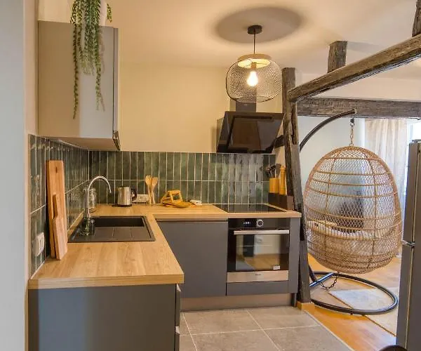 Apartment Appartement Le Verdoyant Hyper Centre Avec Parking Et Sauna *