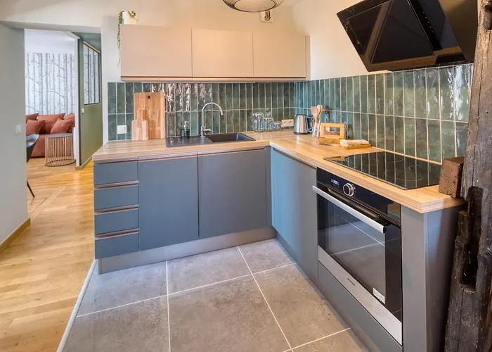 Appartement Le Verdoyant Hyper Centre Avec Parking Et Sauna Apartment Colmar