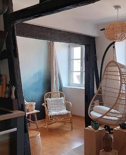 Appartement Le Verdoyant Hyper Centre Avec Parking Et Sauna Apartment *